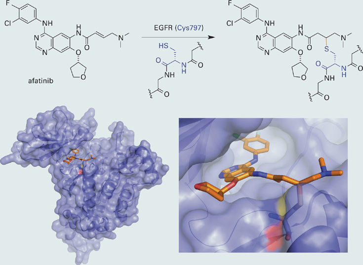 Study—Drugs That Form a Covalent Bond to Their Target Basicmedical Key