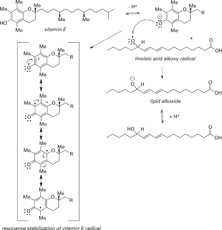 Radical Chemistry Basicmedical Key