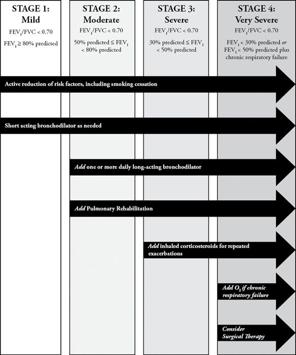 Chronic Obstructive Pulmonary Disease Basicmedical Key