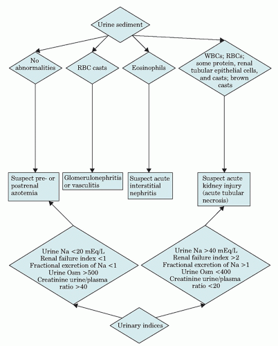 Renal Disorders | Basicmedical Key