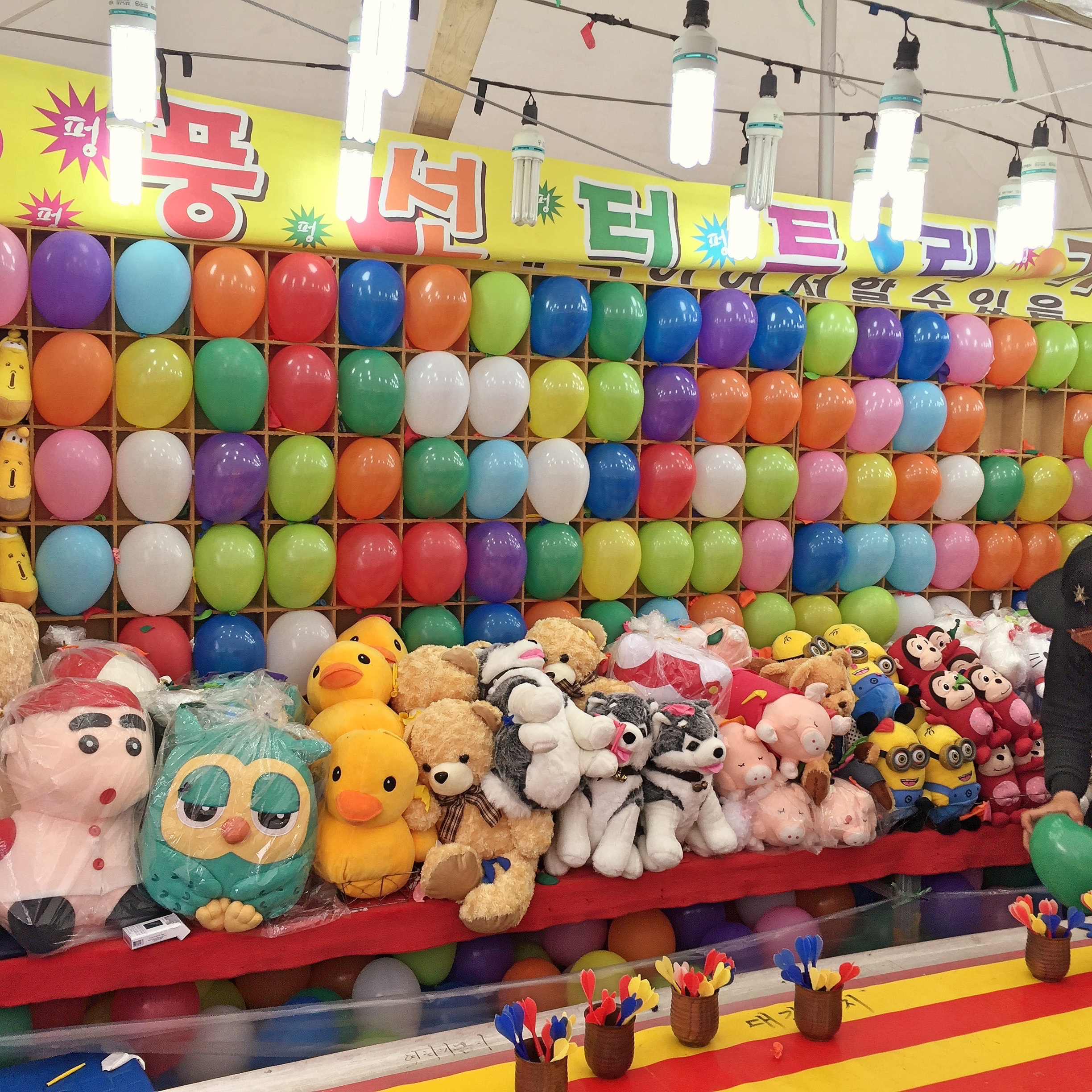 BBM KOREA | Jinhae, South Korea | Cherry Blossom Festival