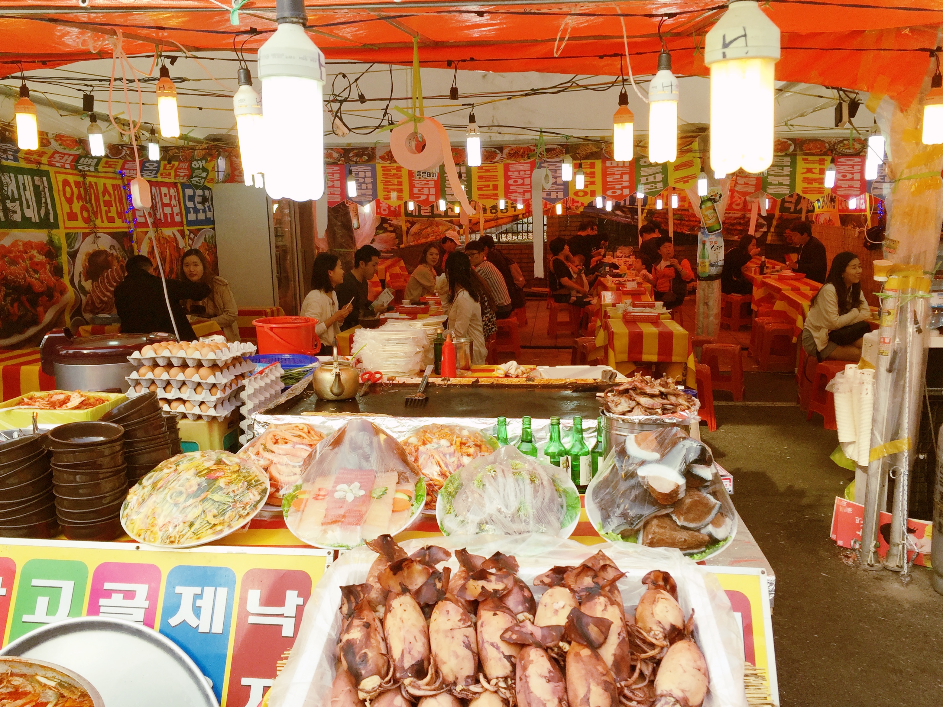 BBM KOREA | Jinhae, South Korea | Cherry Blossom Festival