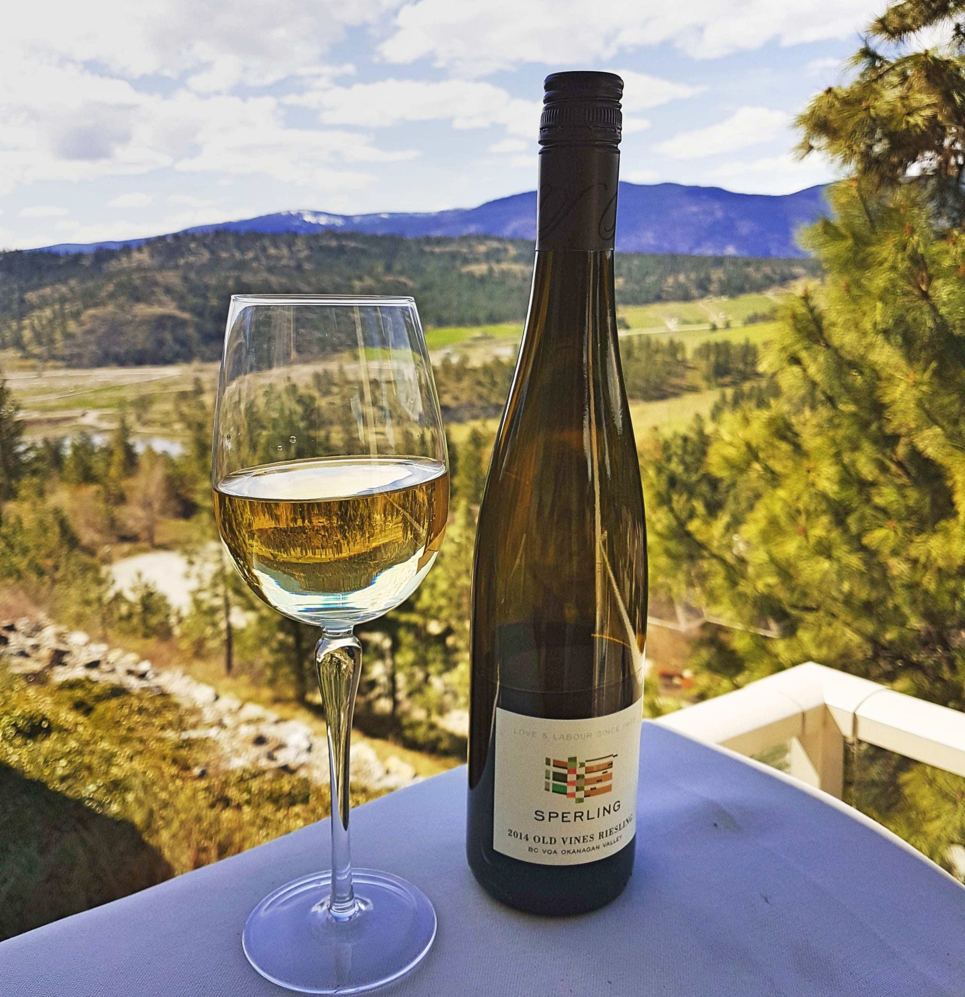 BC Rieslings that beat the Summer Heat BC Wine Trends