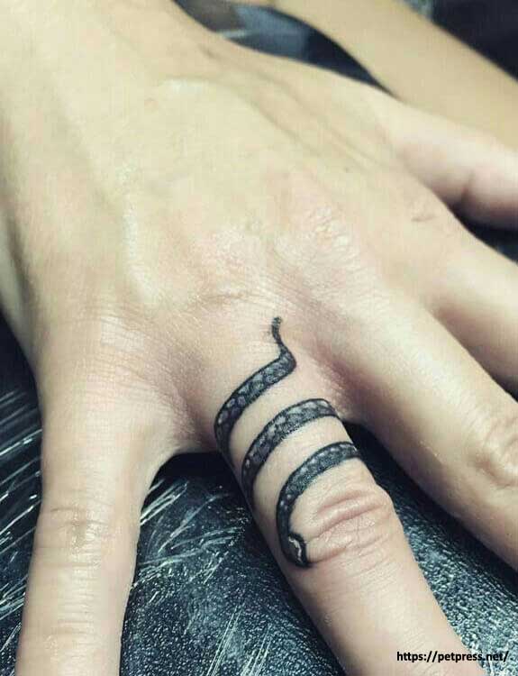 Snake Tattoo Ideas: 30+ Tattoo Designs And Meanings Explained 2021 750_x_575_jpg