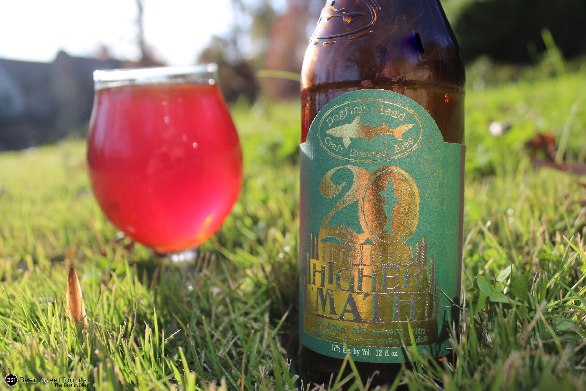 dogfish-head-higher-math