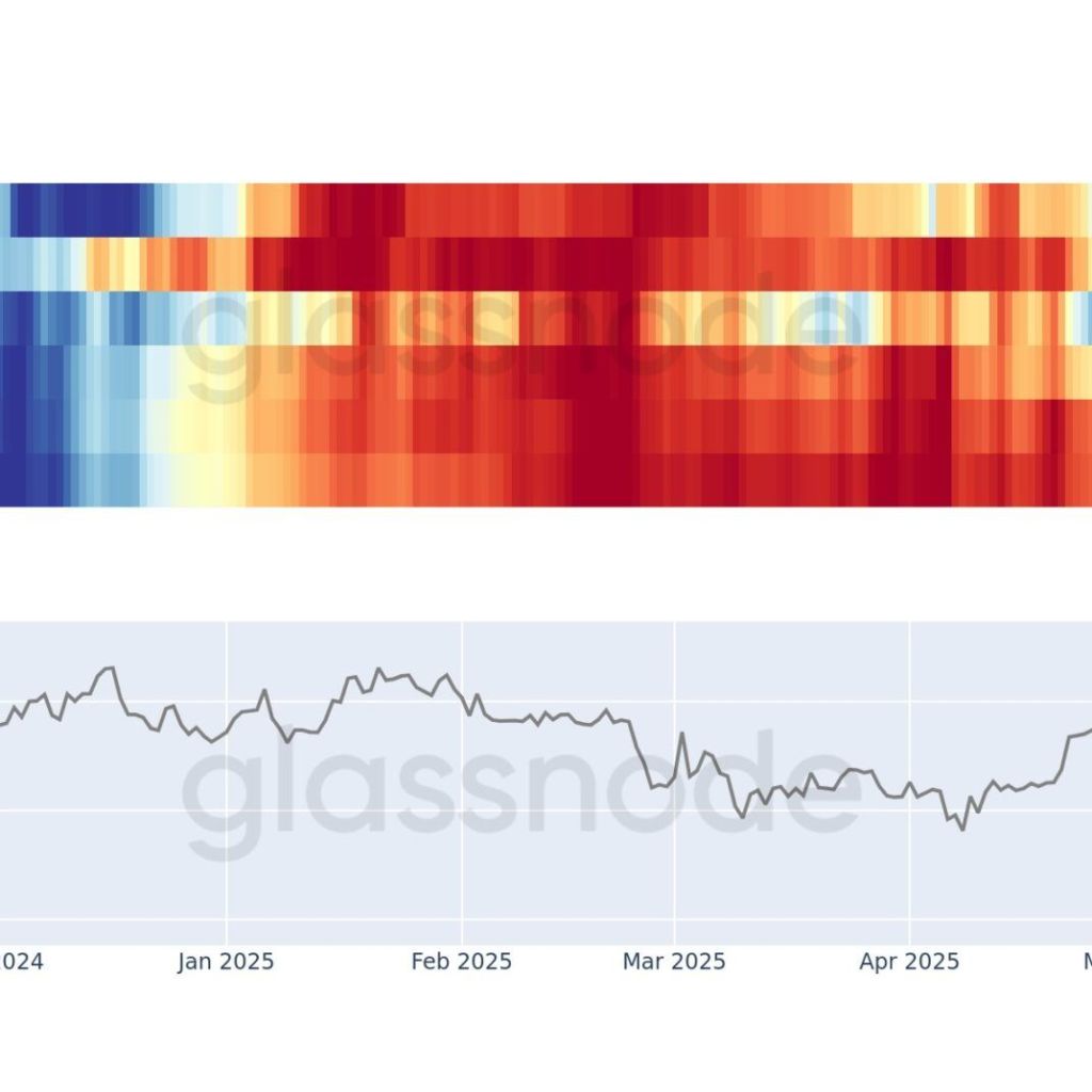 Bitcoin Whales Offset .7 Billion Promote-Off, Push Worth To New All-Time Excessive Bitcoin Whales Offset .7 Billion Promote-Off, Push Worth To New All-Time Excessive