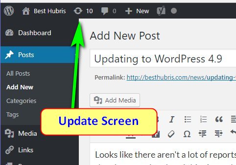 I will handle the complete monitoring, backup, and update. Updating to WordPress 4.9 - Blogs - BestHubris.com