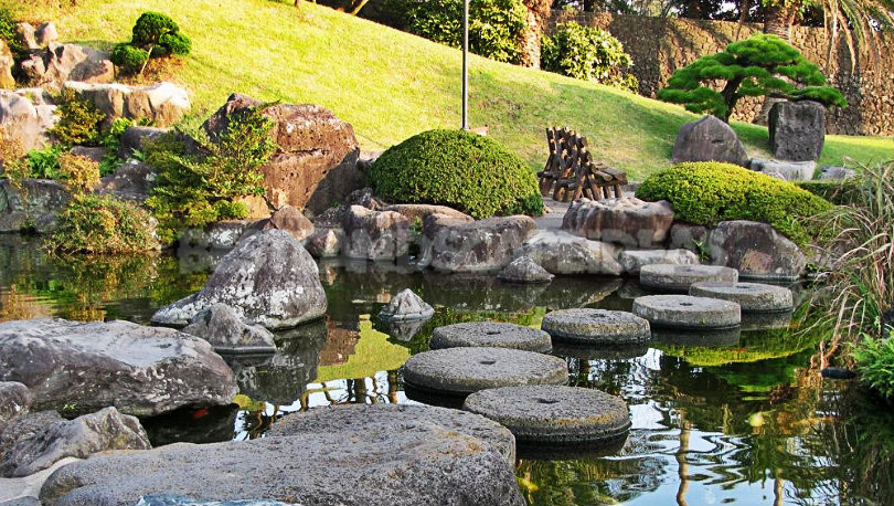 Kate graduated from sonoma state university with a bachelor of. Bonsai Park "Spirited Garden" in South Korea - Best
