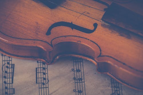 Viola