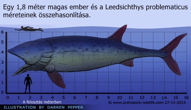 Leedsichthys was a giant fish that would have dwarfed every other animal in the sea, but it was a gentle giant that lived on the tiny shrimps, jellyfish and . Leedsichthys problematicus - Best Of Cafe