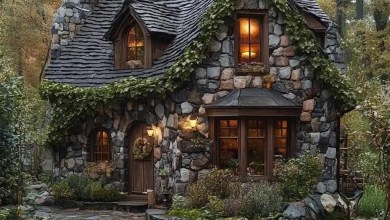 The Enchanted Cottage Hidden in the Woods The Enchanted Cottage Hidden in the Woods