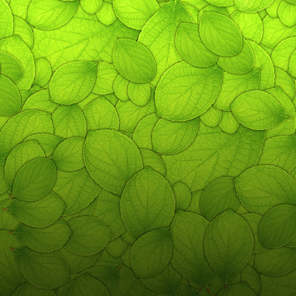 Best leaves wallpaper, desktop background for any computer, laptop, tablet and phone. Green Leaves Download Photo Green Leaves Background Texture