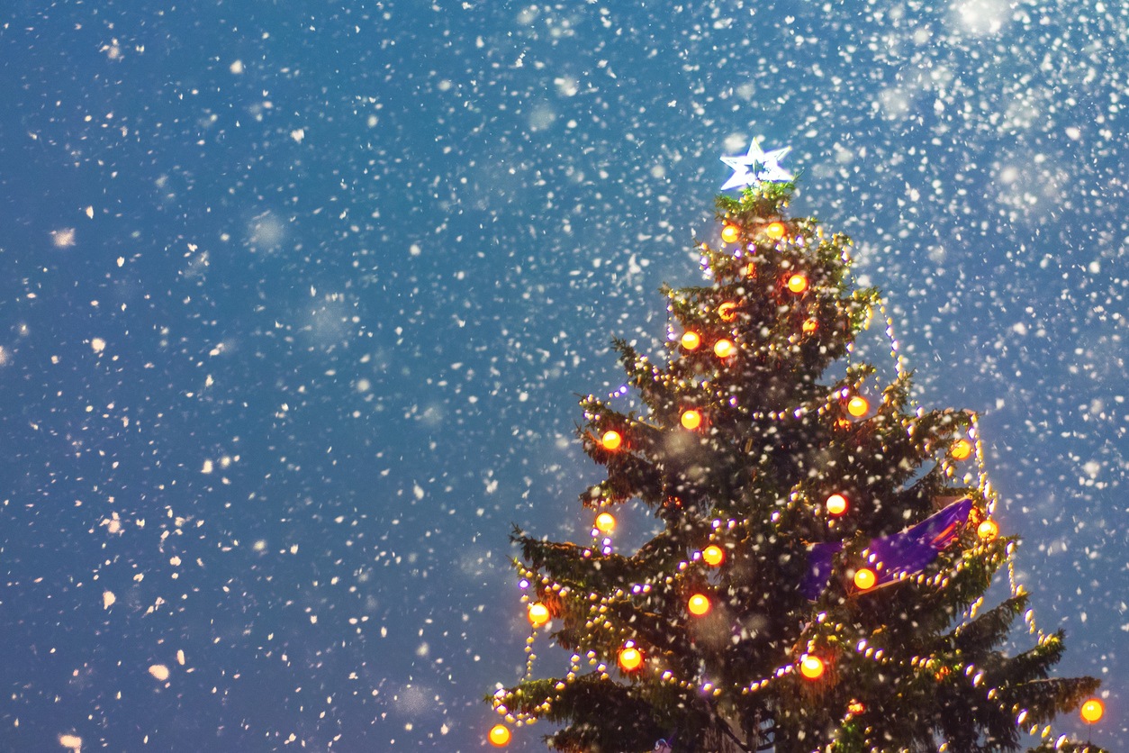 ﻿﻿﻿ we earn a commission for products purchased through some links in this article. The Annual Christmas Tree Lighting 2019 Burnt Hills Bpa