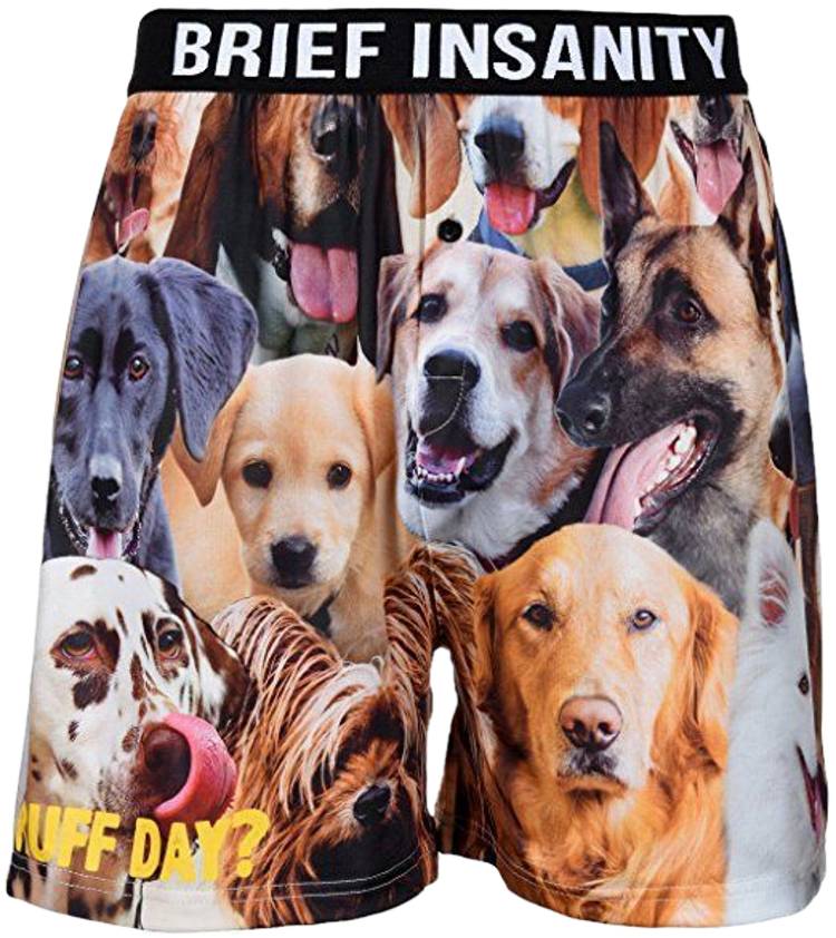boxer shorts for dogs