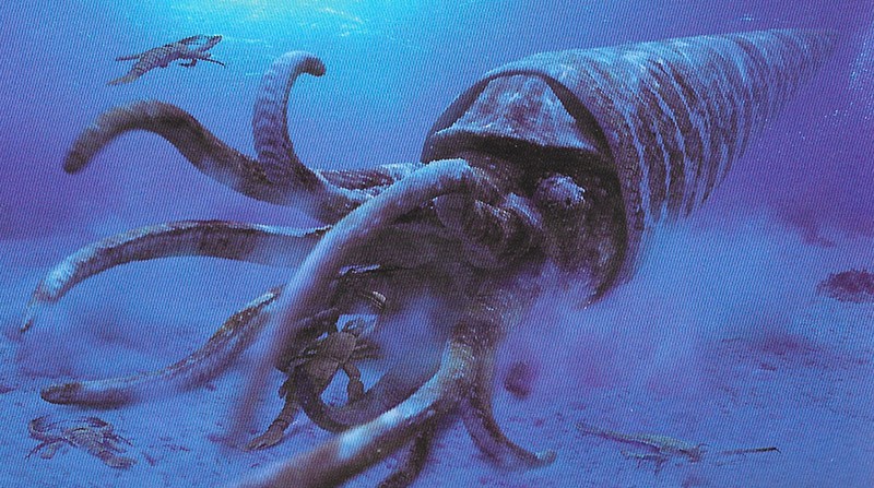 Quale Animale Piu Grande Mai Esistito Sulla Terra