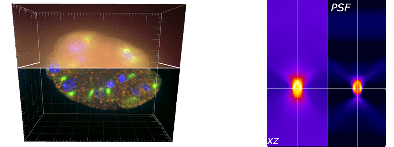 The problem is ill posed. 3D Deconvolution Microscopy