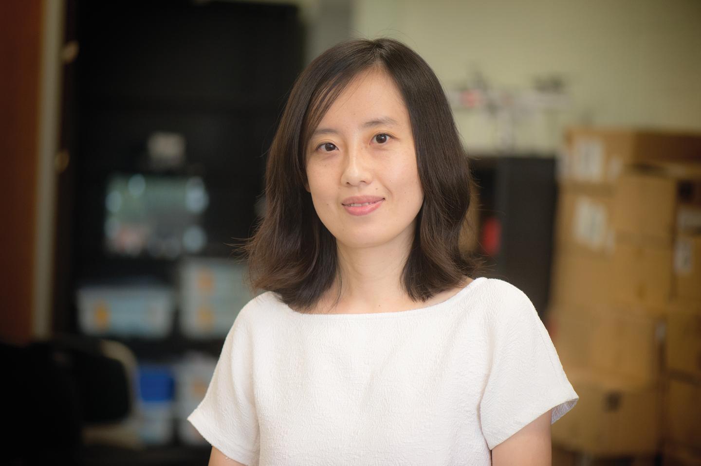 Uta Researchers Optimize Performance Of Networks Of Human Operated And Autonomous Vehicles Bioengineer Org