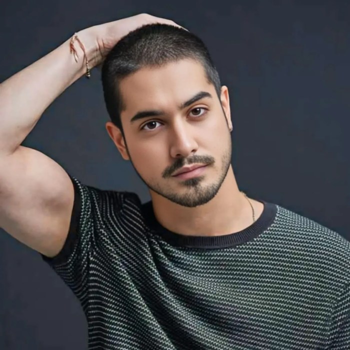 Avan Jogia - About - Entertainment.ie Avan jogia movies and tv shows