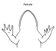 We have textbook solutions for you! Frog Dissection Biology Junction