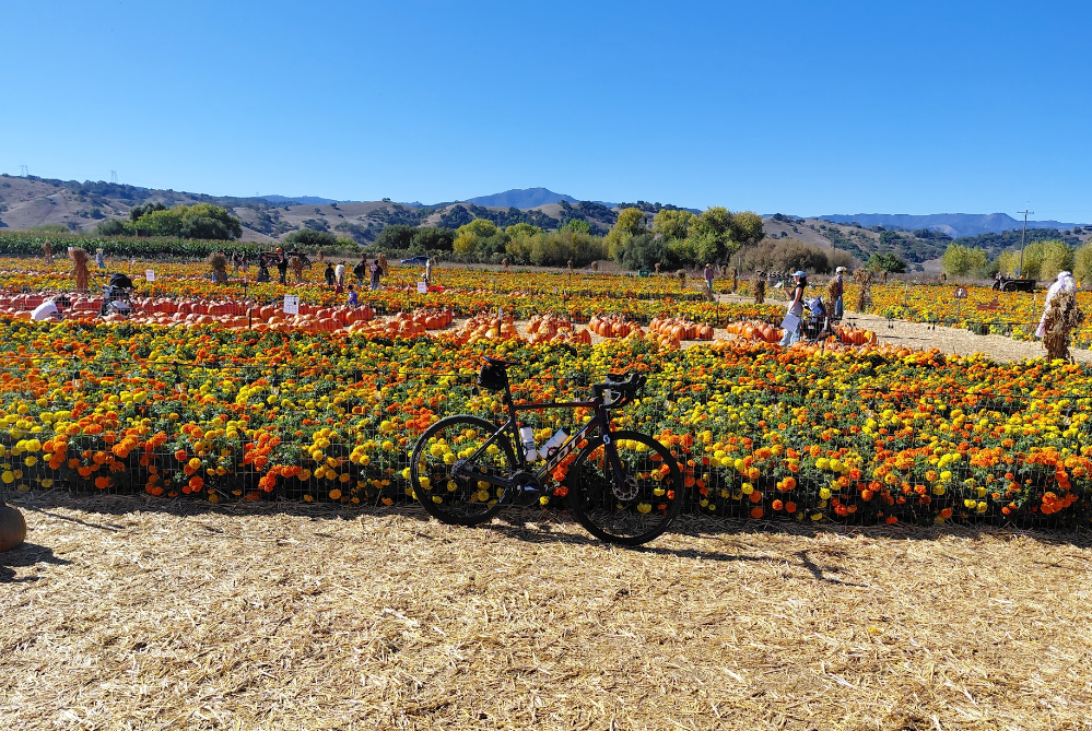 Pumpkin Patch Ride – BionicOldGuy Pumpkin Patch Ride – BionicOldGuy