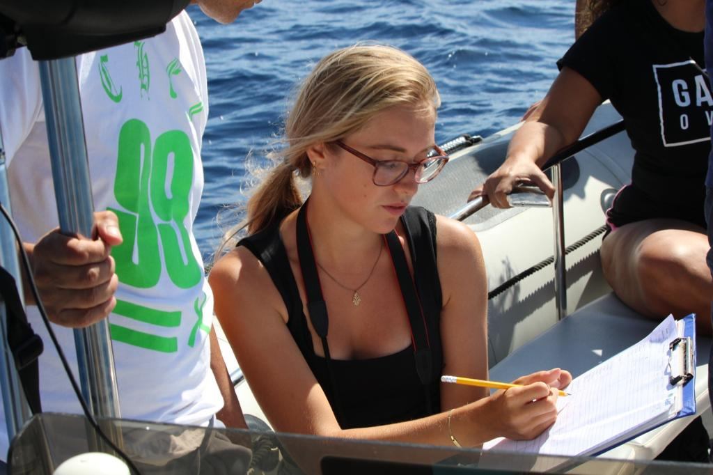 Investigazione - Biosean - Whale Watching And Marine Sciences In Tenerife 682_x_1024_jpg