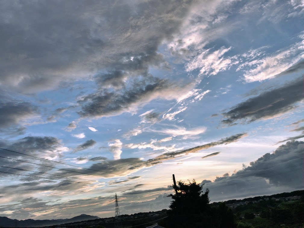 長い雨の後。