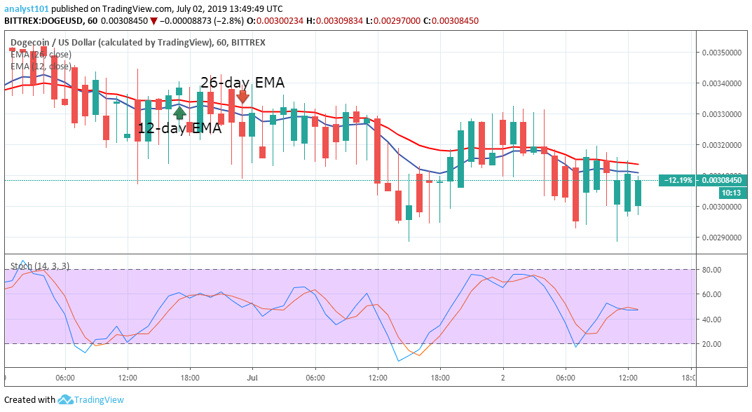Dogecoin Value Today . Dogecoin Price Prediction Today: Daily (DOGE) Value ...