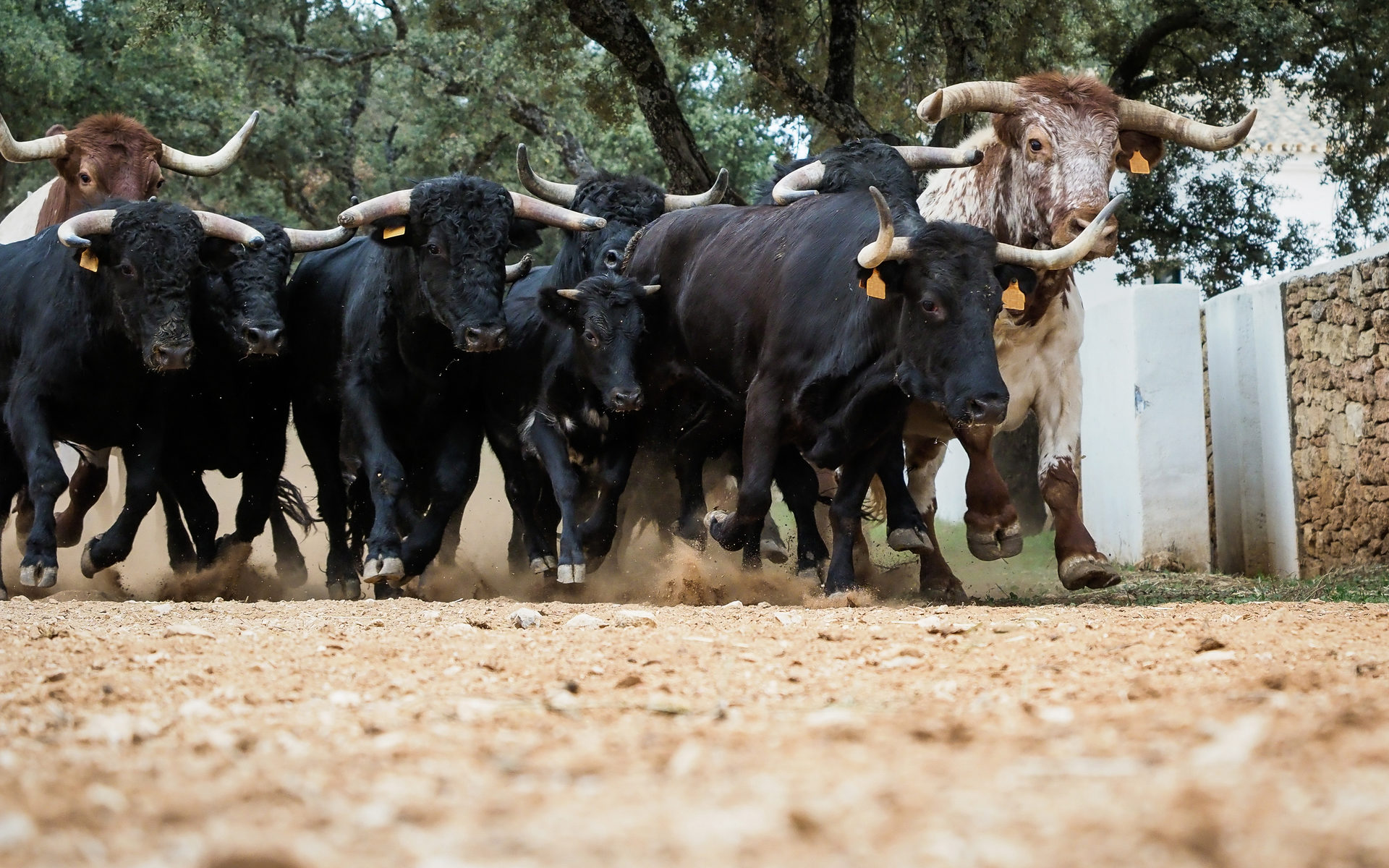 Cryptocap:total2 trade ideas, forecasts and market news are at your disposal as well. Will the Current Bitcoin Bull Cycle Run for Another 600 Days?