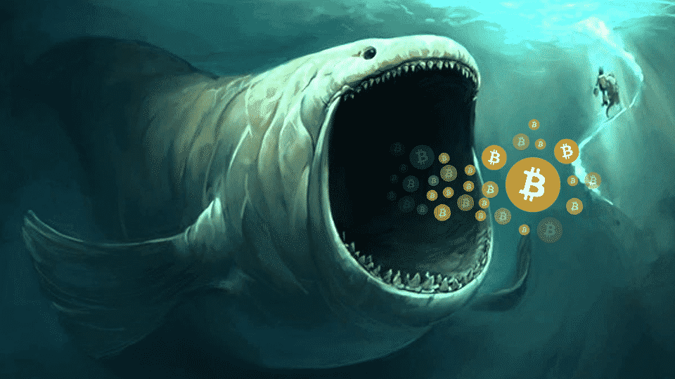 What Happened To The Bitcoin Whale Who Opened  Billion Long And Short Positions?