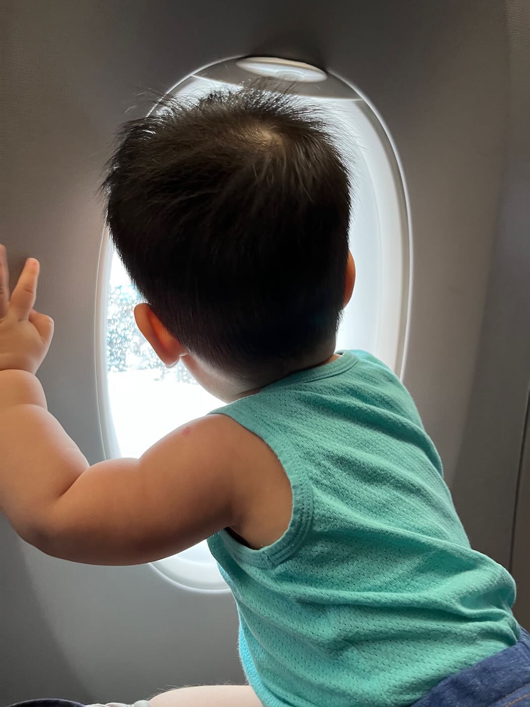 飛行紀錄 日本航空 國內線 羽田札幌 JL521 A350 客機 - 一口冒險 Bitesized Adventure 飛行紀錄 日本航空 國內線 羽田札幌 JL521 A350 客機 - 一口冒險 Bitesized Adventure