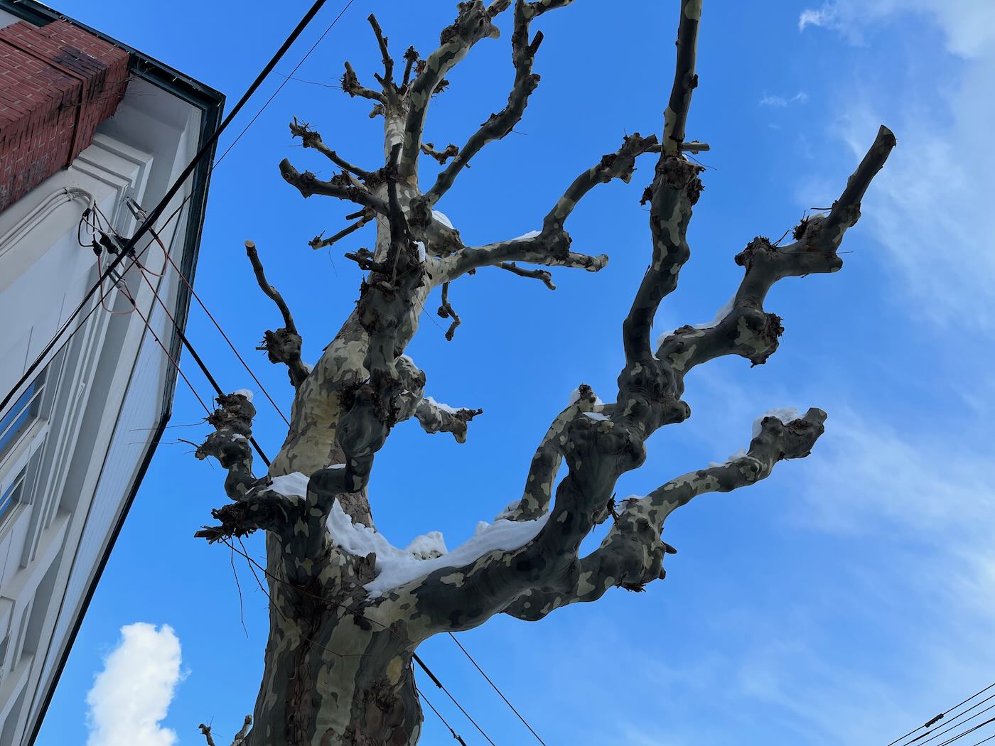 北海道美食 小樽 喫茶甜點 運河邊的喫茶一番庫|喫茶あまとう Amato Cafe|LeTAO - 一口冒險 Bitesized Adventure 北海道美食 小樽 喫茶甜點 運河邊的喫茶一番庫|喫茶あまとう Amato Cafe|LeTAO - 一口冒險 Bitesized Adventure