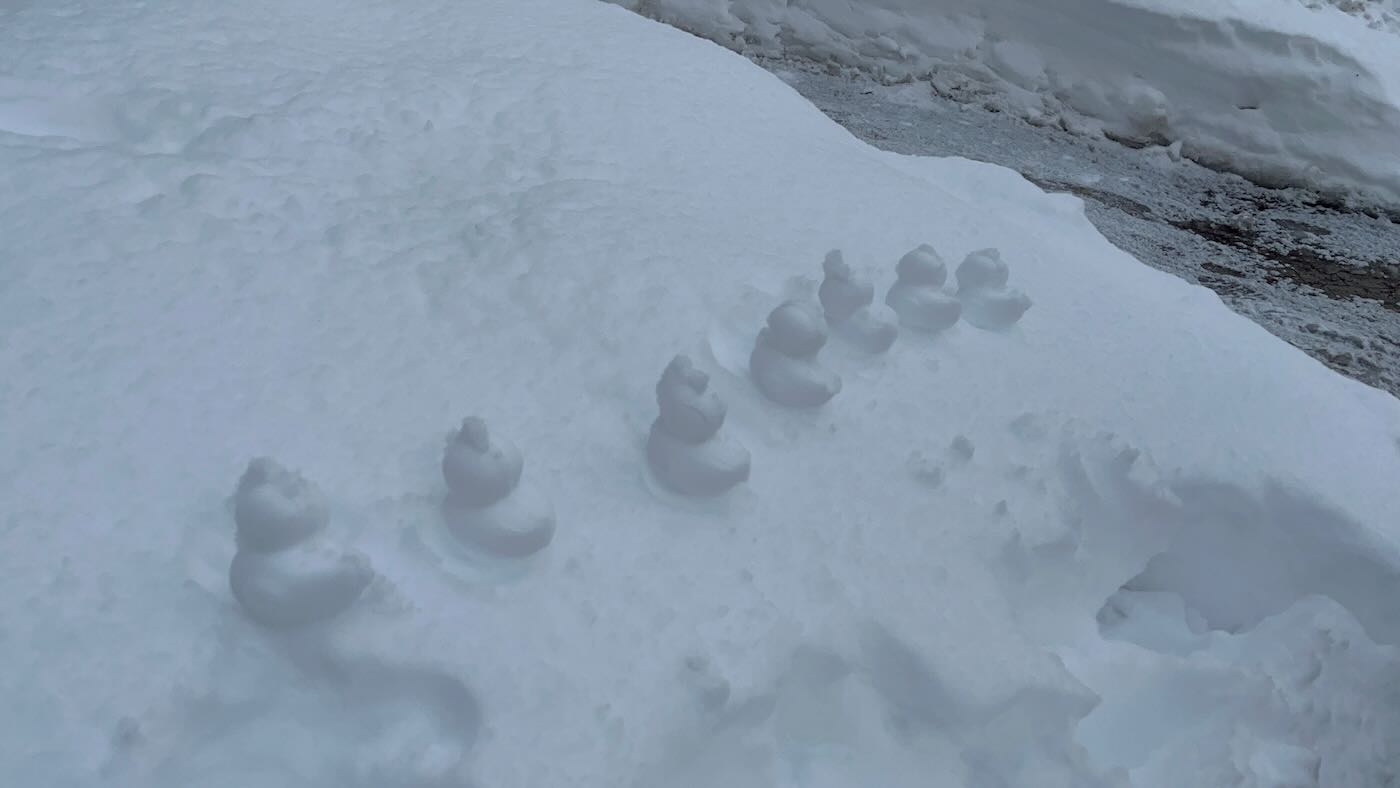 北海道美食 小樽 魚真海鮮丼|籔半蕎麥麵 - 一口冒險 Bitesized Adventure 北海道美食 小樽 魚真海鮮丼|籔半蕎麥麵 - 一口冒險 Bitesized Adventure