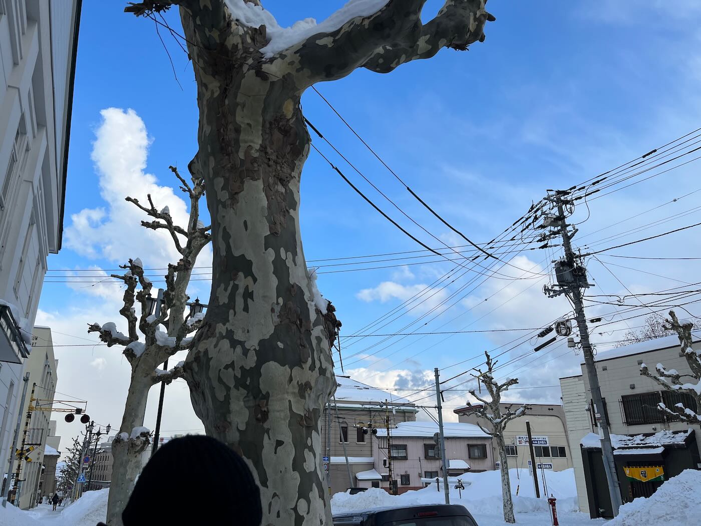 北海道美食 小樽 魚真海鮮丼|籔半蕎麥麵 - 一口冒險 Bitesized Adventure 北海道美食 小樽 魚真海鮮丼|籔半蕎麥麵 - 一口冒險 Bitesized Adventure