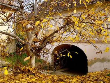 În luna noiembrie, meteorologii susțin că vom avea temperaturi peste norma specifică perioadei. Prognoza Meteo Pe 3 Luni Cum Va Fi Vremea In Lunile Septembrie Noiembrie Temperaturi Neobisnuite Bittv Info Pascani Tg Frumos Harlau