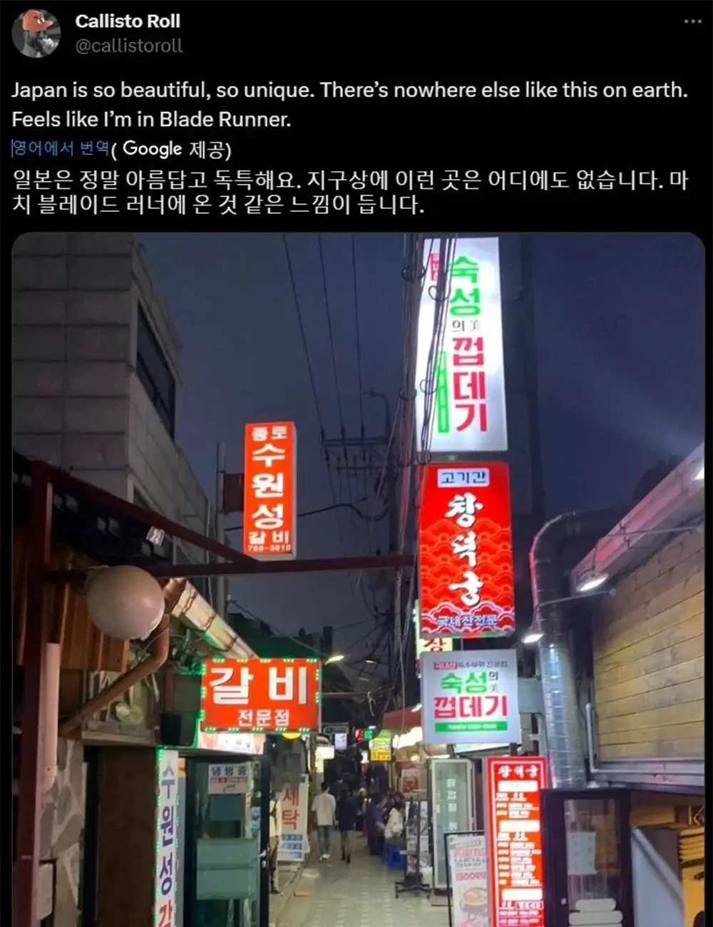 일본 골목길 극찬하는 서양 일뽕들
