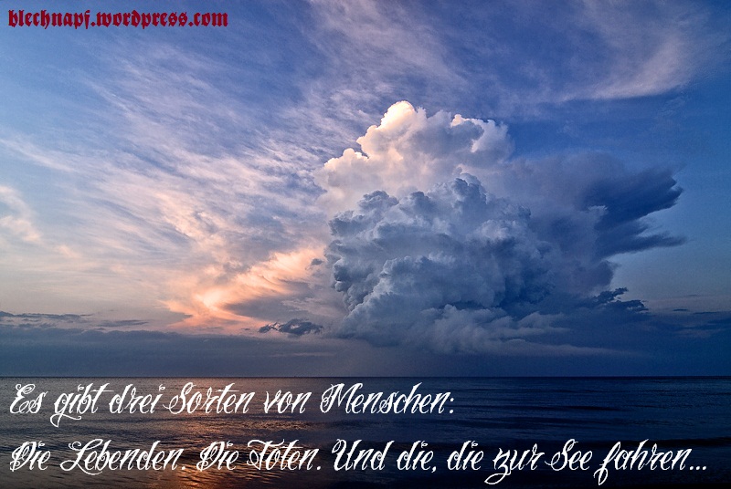 Zitat. | Blechnapf.wordpress 536_x_800_jpg