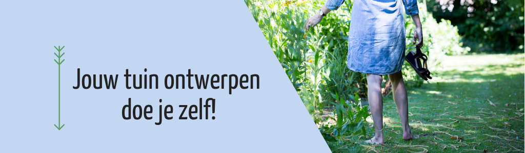 Wilt u uw tuin graag met diepte en perspectief in 3d ontwerpen? Home Blij Met Je Tuin