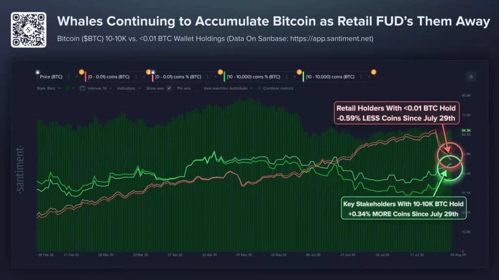 Bitcoin Price Prediction: Whale Accumulation Builds as BTC Tests Key $65K Resistance 1 chart12