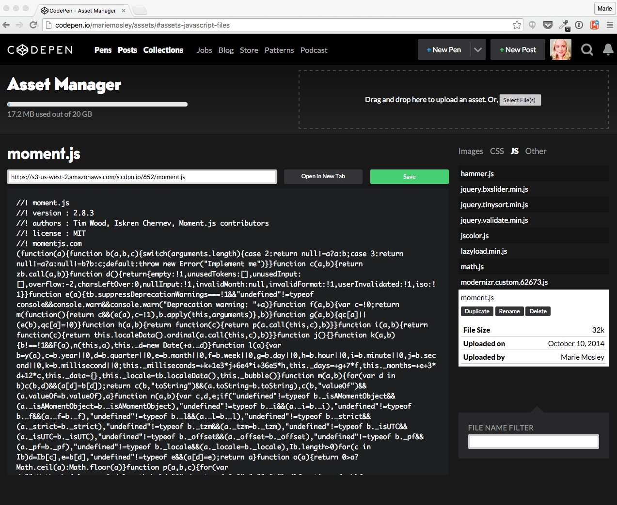 Custom select box dropdown styling. Asset Hosting - CodePen Blog