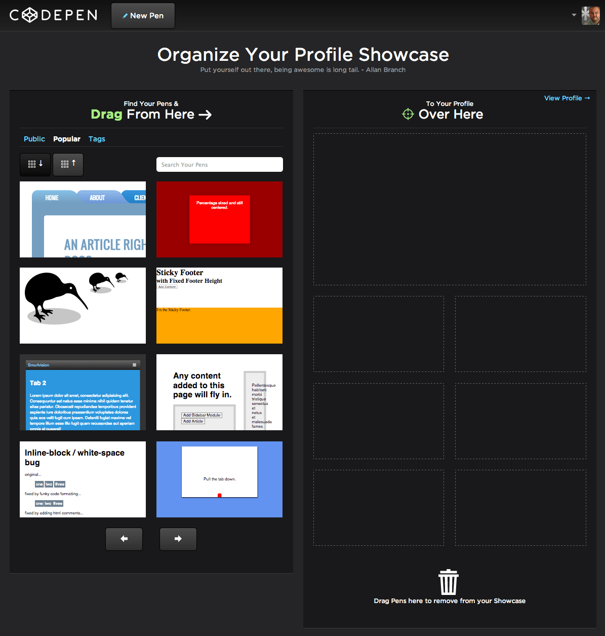 Profiles 2.0 Organize Your Showcase and Customize With CSS! CodePen Blog