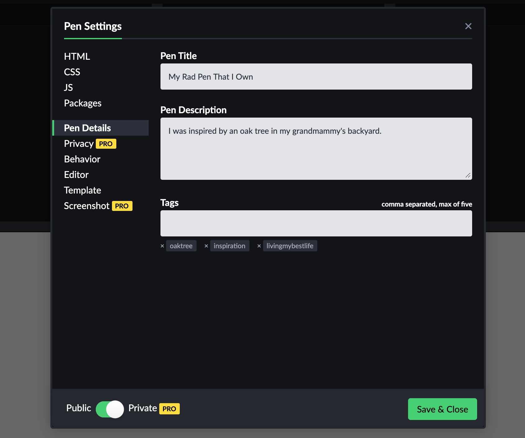 New Pen Settings Design CodePen Blog