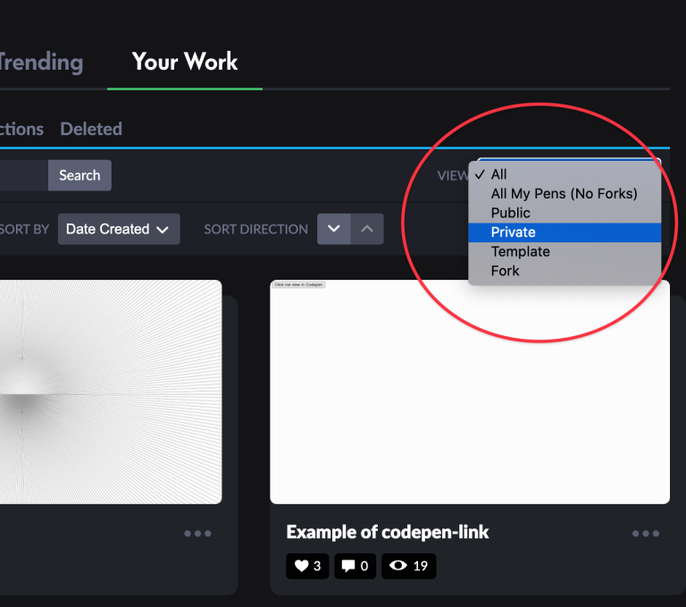 Your Work - CodePen Blog