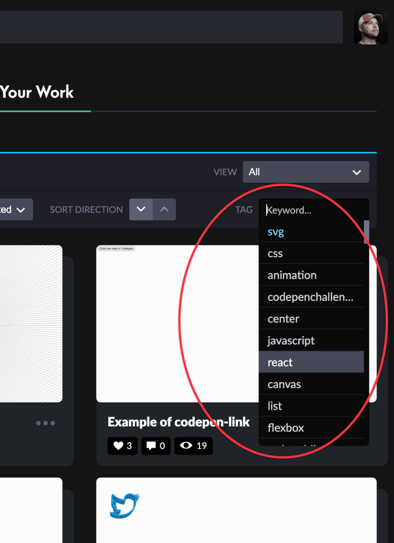 Your Work - CodePen Blog