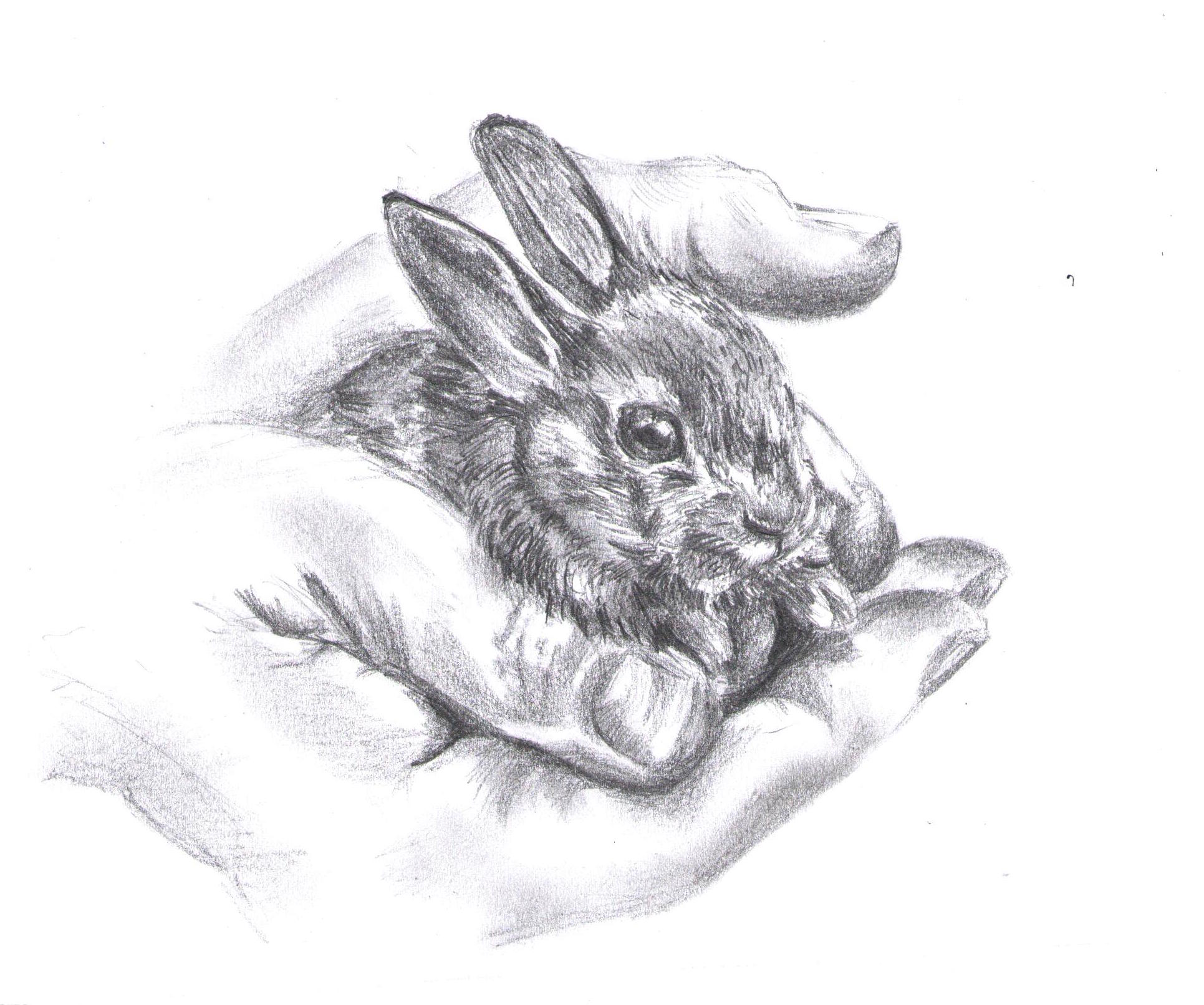 Remember More Than Just Rabbits Understanding "Of Mice and Men" The