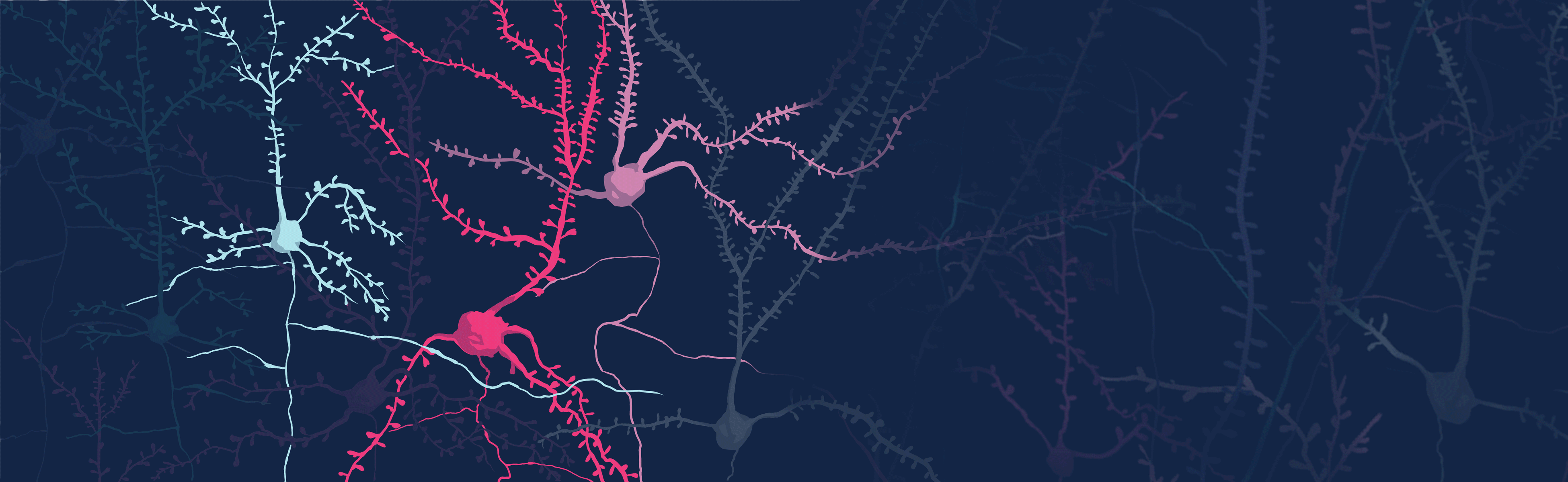 About Eyewire, A Game to Map the Brain