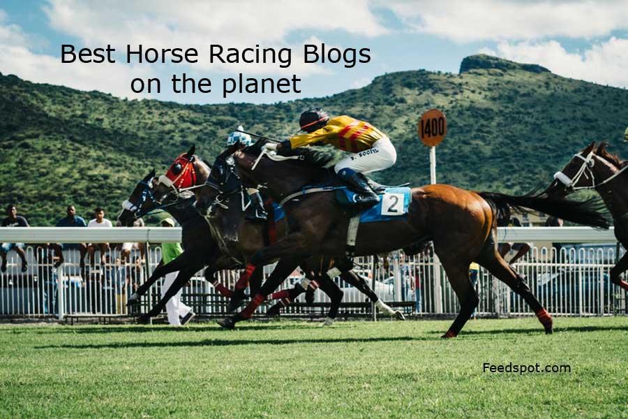 16/04/2022 · home › forums › horse racing picks. Top 80 Horse Racing Blogs And Websites To Follow In 2022