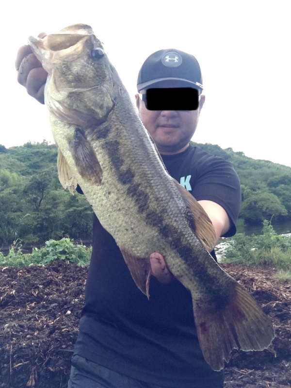 8月 7日 ブラックバス 高知 バス釣り 野池 高知堀り出しや