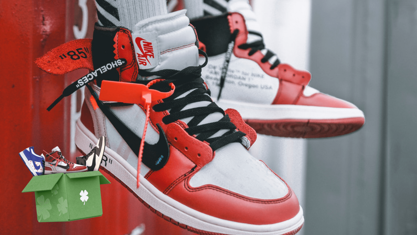 Hypedrop S Hottest Unboxings Rolex Icebox Bearbick August 2021