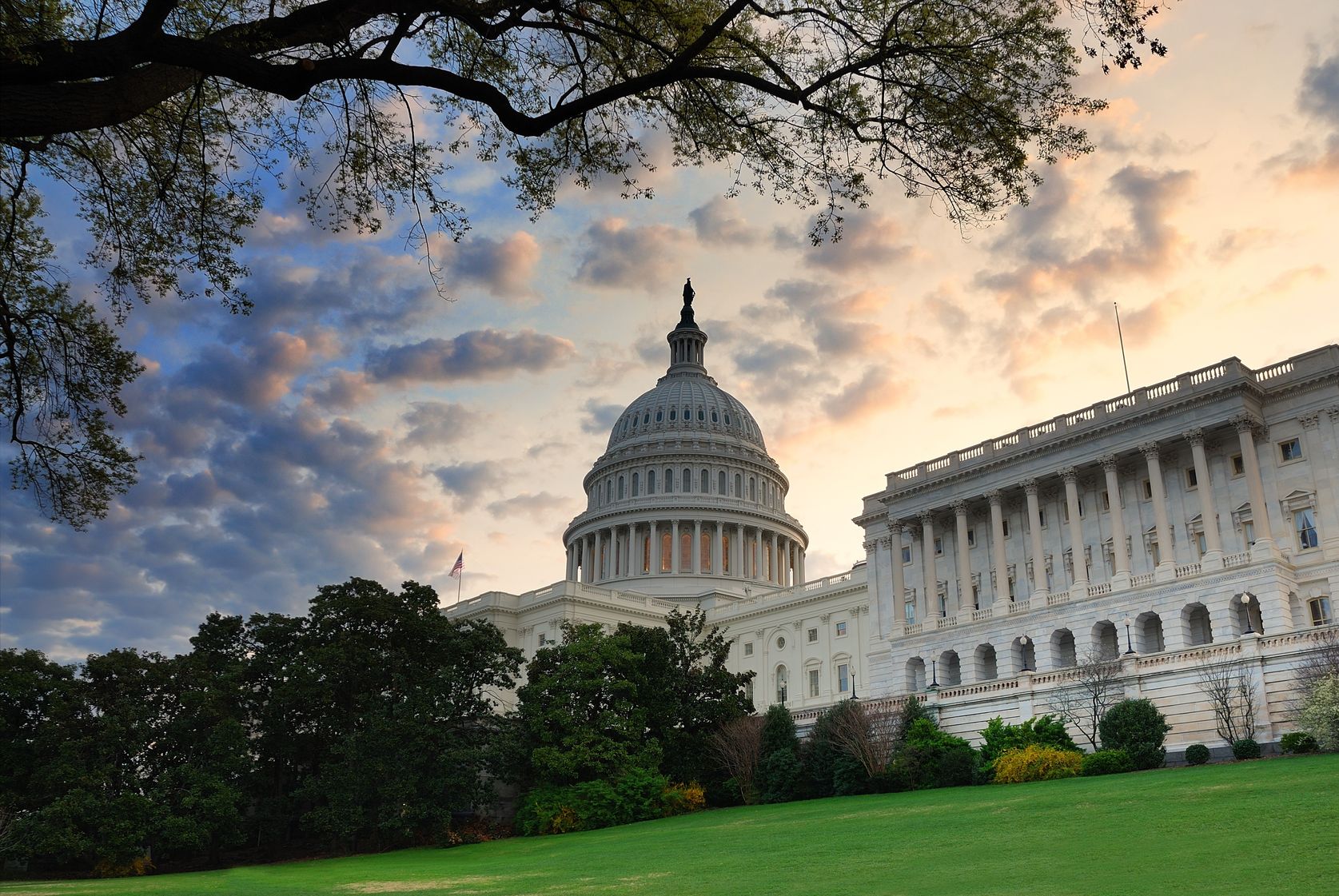 We know that you need help and we do our best to help every customer who's looking for professional academic assistance. How Big Is Government in the United States?