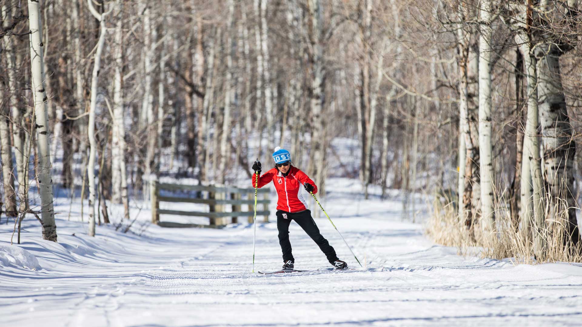 What Size Nordic Skis Do I Need?